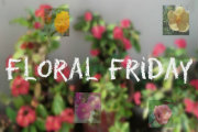 floral_friday_button